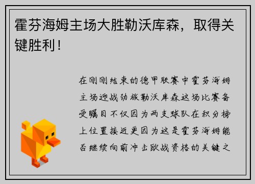 霍芬海姆主场大胜勒沃库森，取得关键胜利！